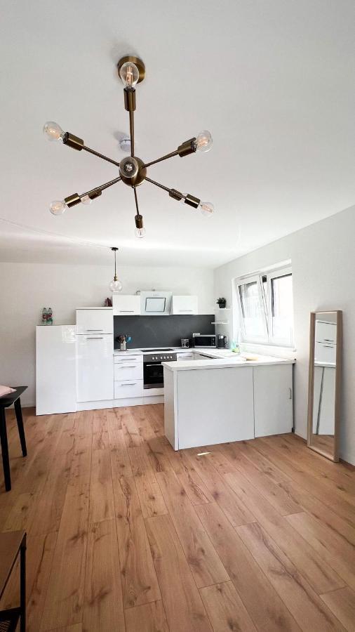 2 Zkb Apartment In Mannheim Kueche - Parken - Grosser Tv Kültér fotó